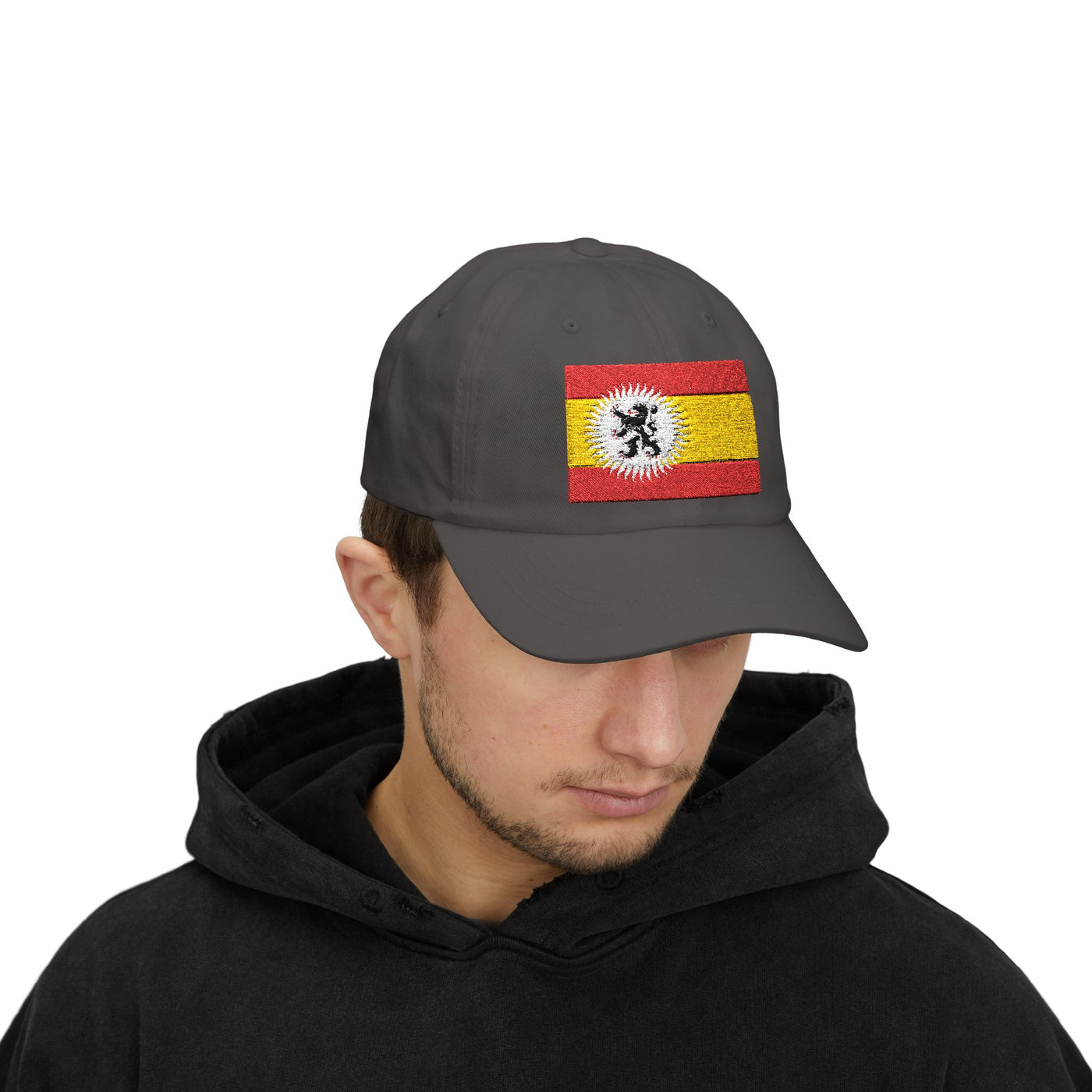 Lionshield of Spain